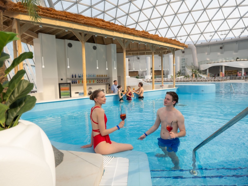 Бассейн и мокрый бар / Wet Bar pool